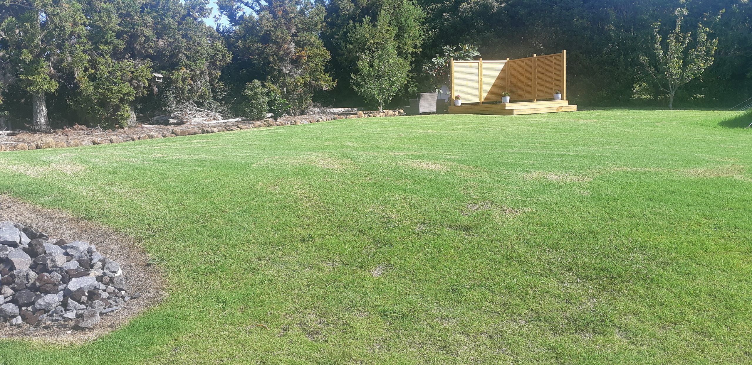 A freshly mowed large section we look after in Kerikeri